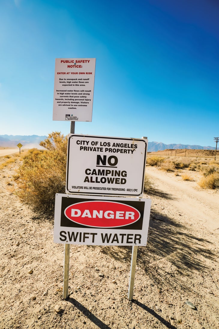 No Camping sign_bjk-web None