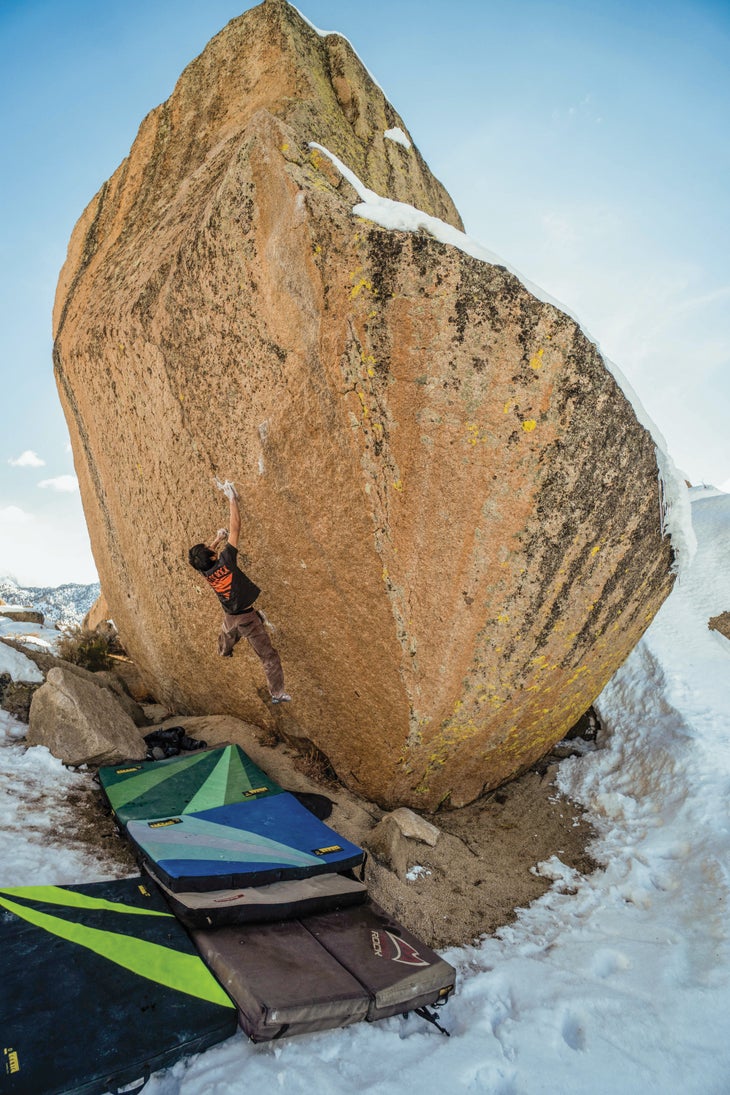 The Swarm Ichi 3 (1 of 1)_bjk-web None