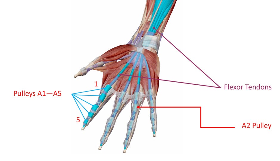 You've Hurt Your Finger. Now What? Our Complete Guide To Finger Fixes.