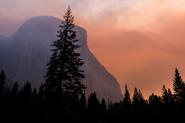 Yosemite Facelift 2020 Cancelled, Replaced By Facelift: Act Local Virtual Event