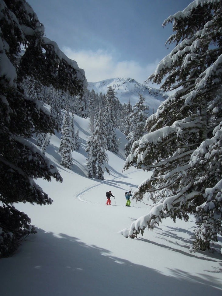 AEX_Squaw Valley Backcountry_2 None
