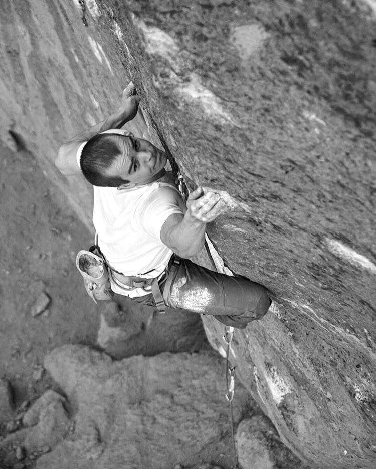 Dimmit, Vicious Fish