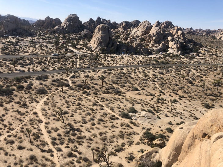 Speak Up Now to Shape the Future of Joshua Tree Climbing Bolted Routes