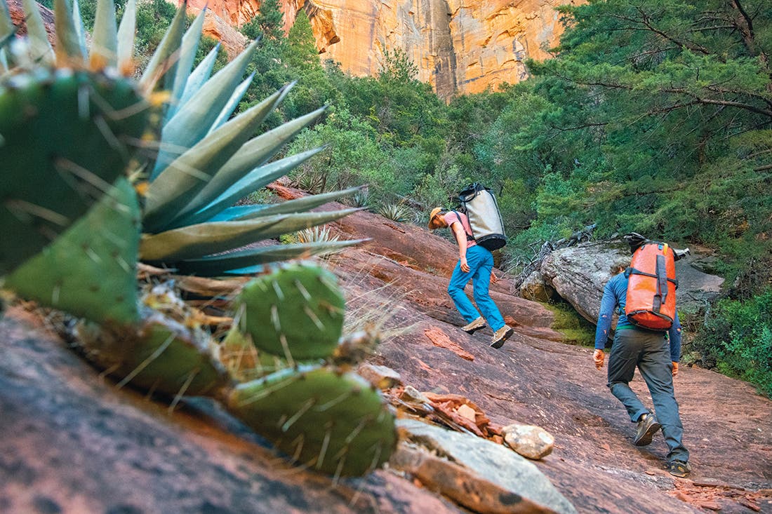 Two people walking up a steep slab with cacti
