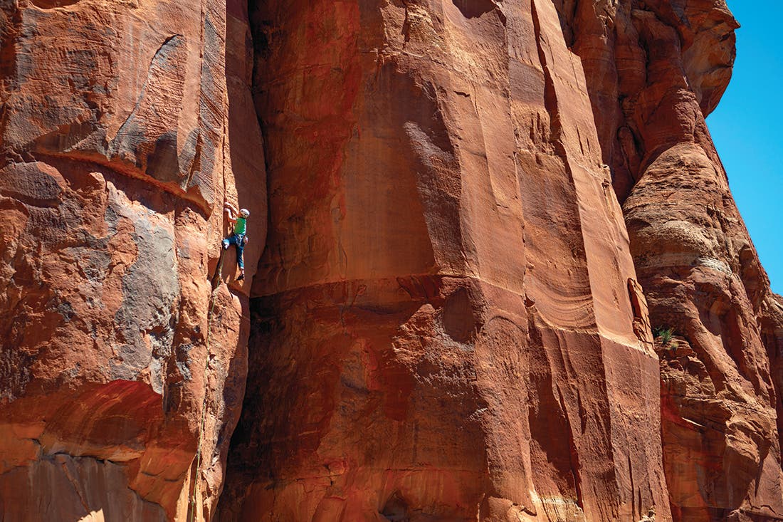 Harrison on Apocrypha