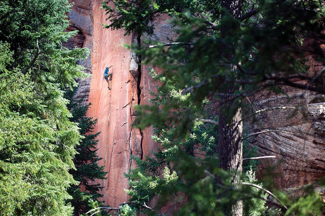 Climber on a rock face, seen through the trees