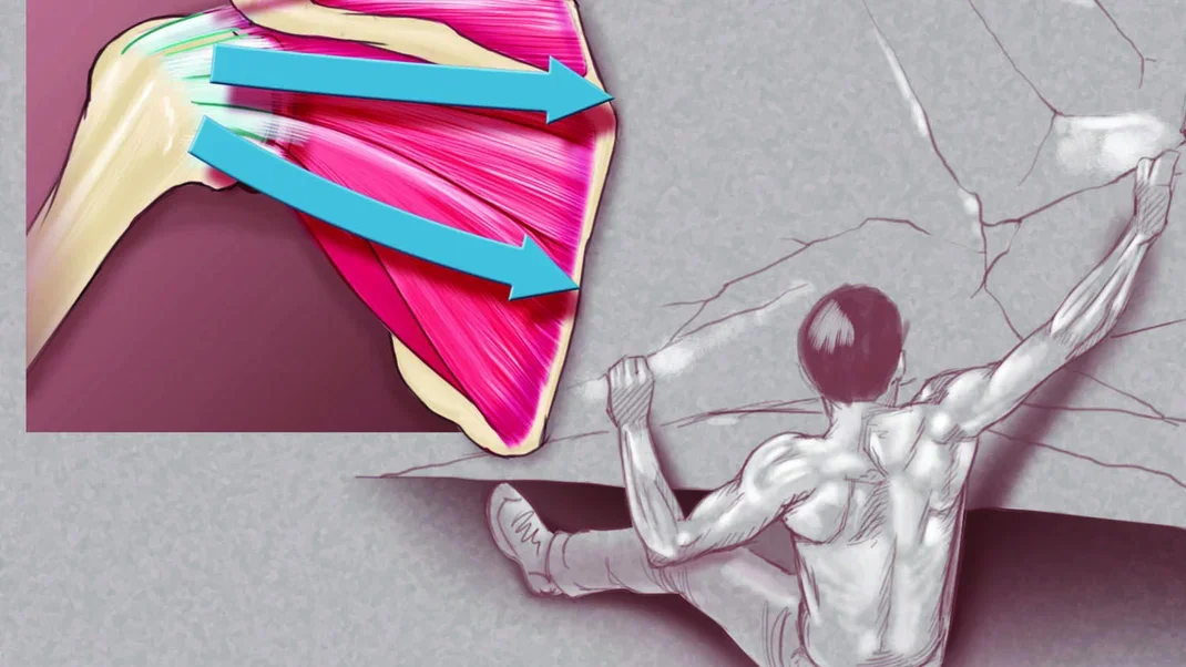 Injuries and Medical Advice: Shoulder Pops