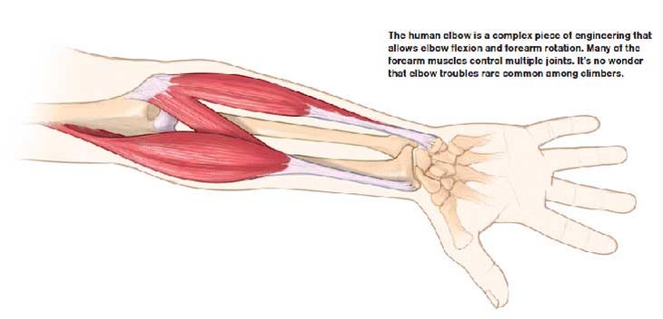 Tips For Preventing Sore Climber's Elbow Climbing