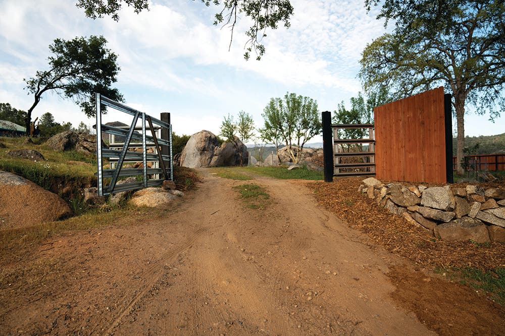 They Wanted a Bouldering Area, So They Bought One - Climbing