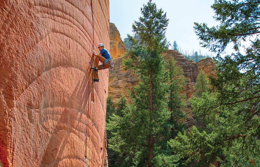 Climber at tree-canopy level