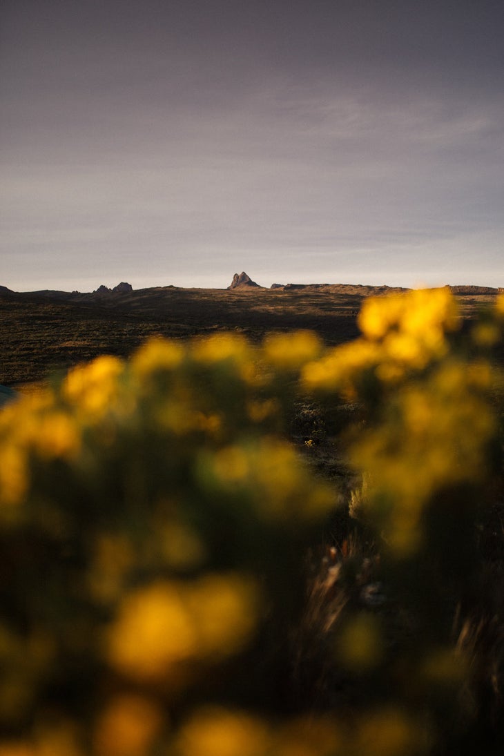 View of Mt Kenya from Old Moses Camp, just inside Mt Kenya National Park