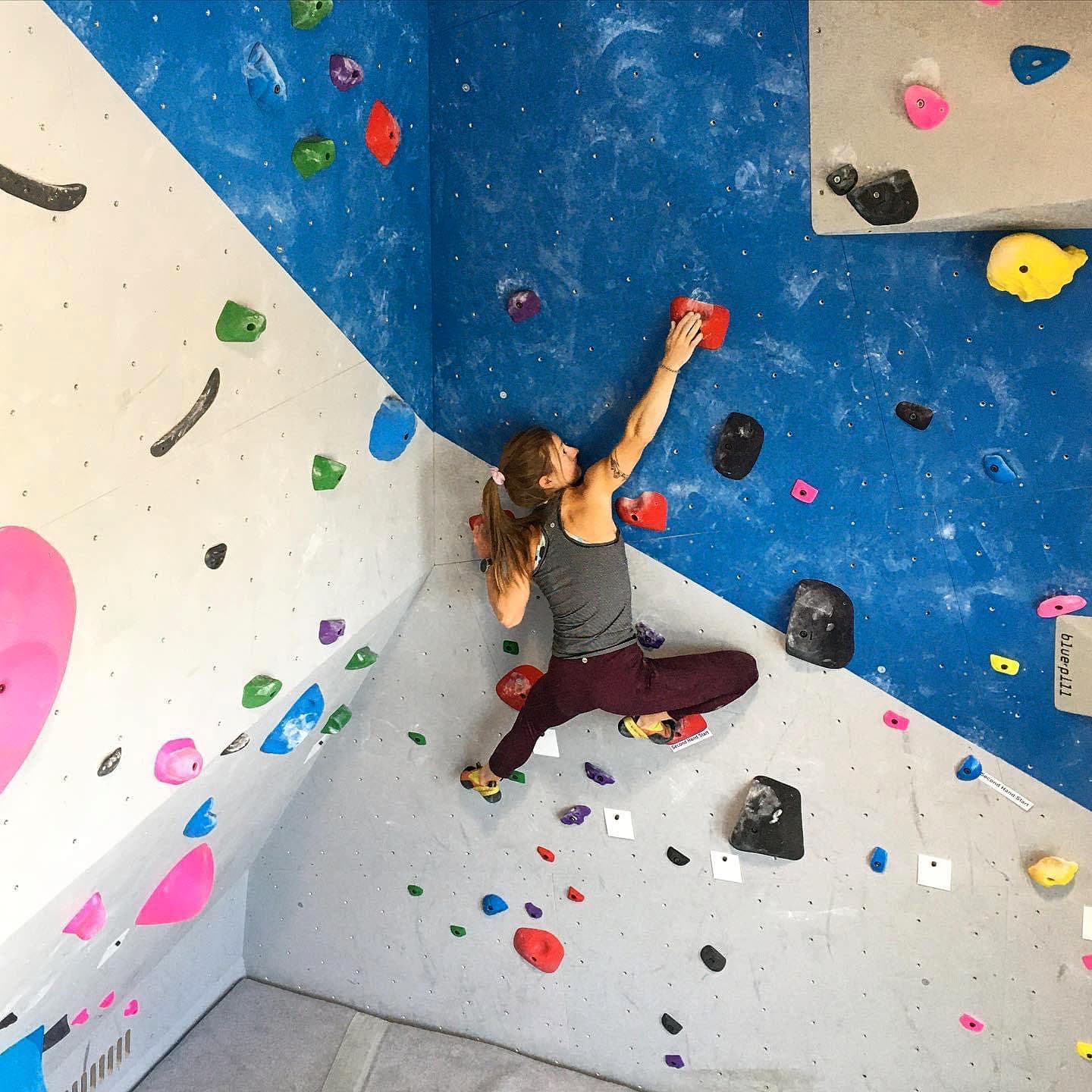 Gym climbing