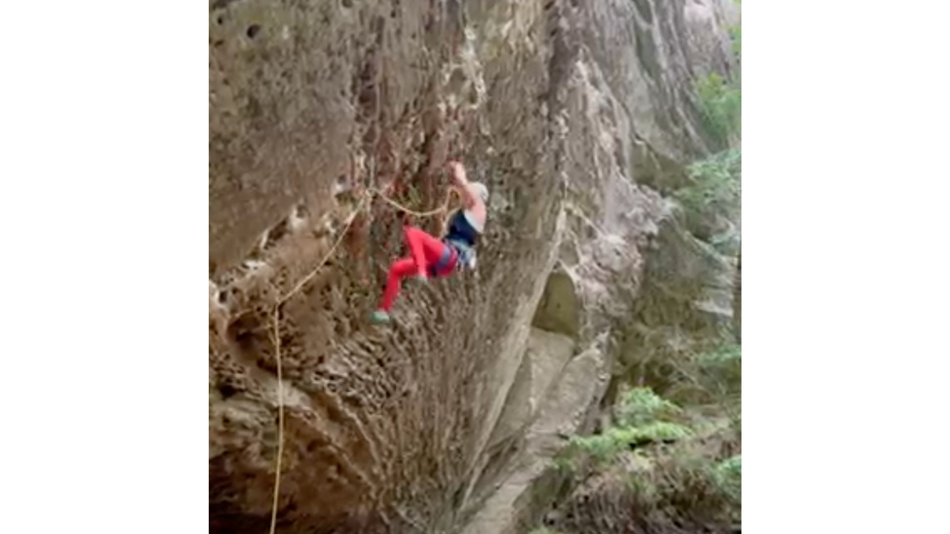 Rock climber takes large fall sport climbing.