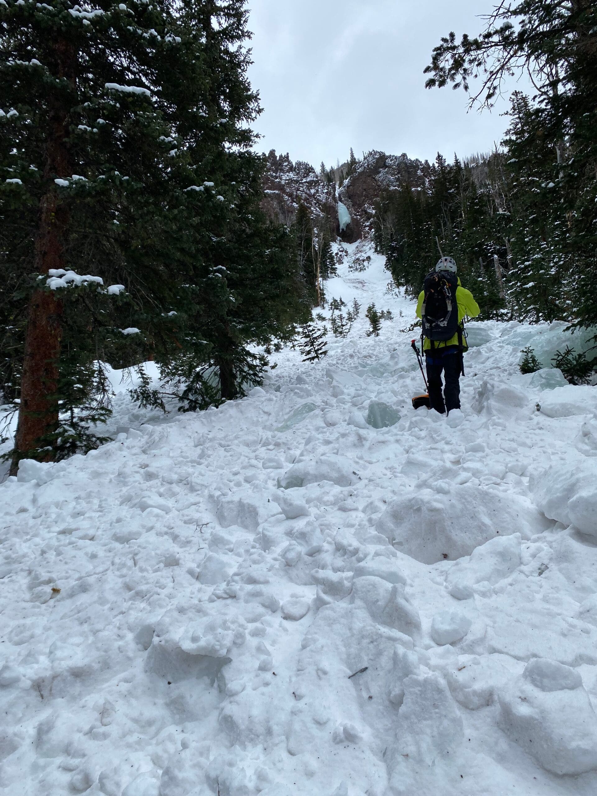 Looking up a narrow treed gully filled with avalanche debris.