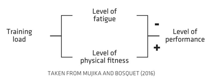 How Climbers Can Periodize Their Teaching