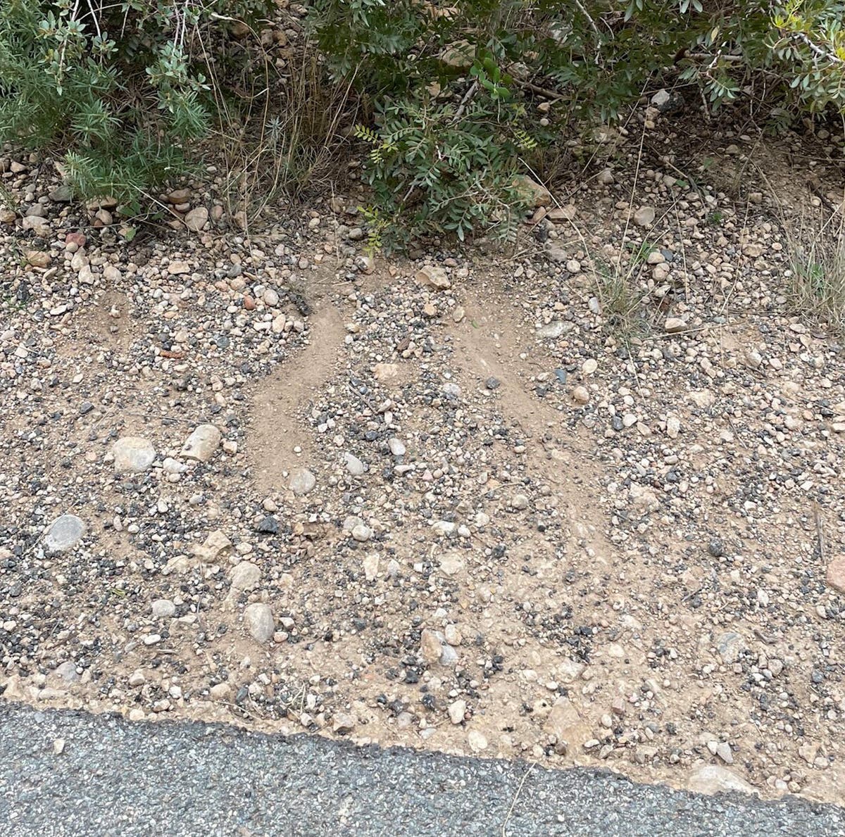 The skid marks in dirt of a climber who hit the ground.