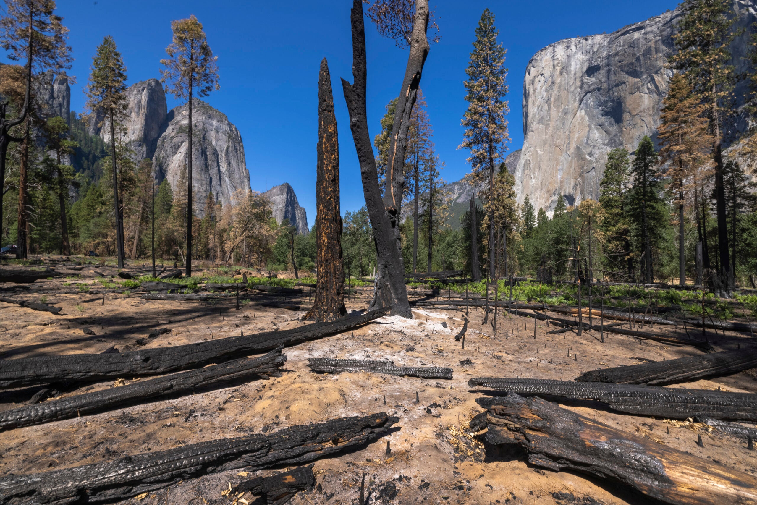 Rock climbers like to connect with nature – but are they also destroying  it?, Environment