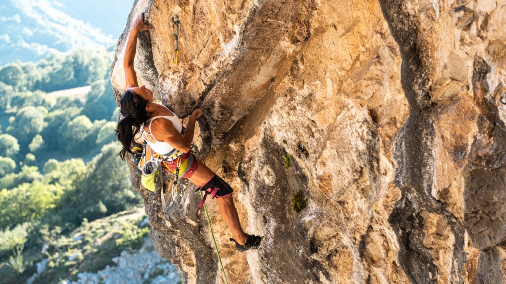 The Best Climbing Harnesses for Indoor and Outdoor (2024)