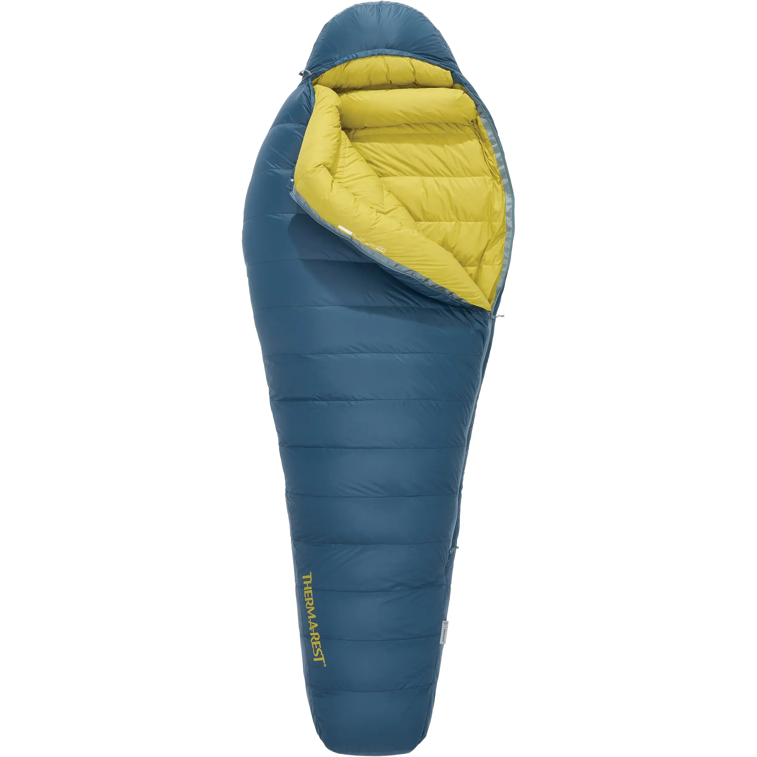 Our Editors’ Favorite Camping Gear