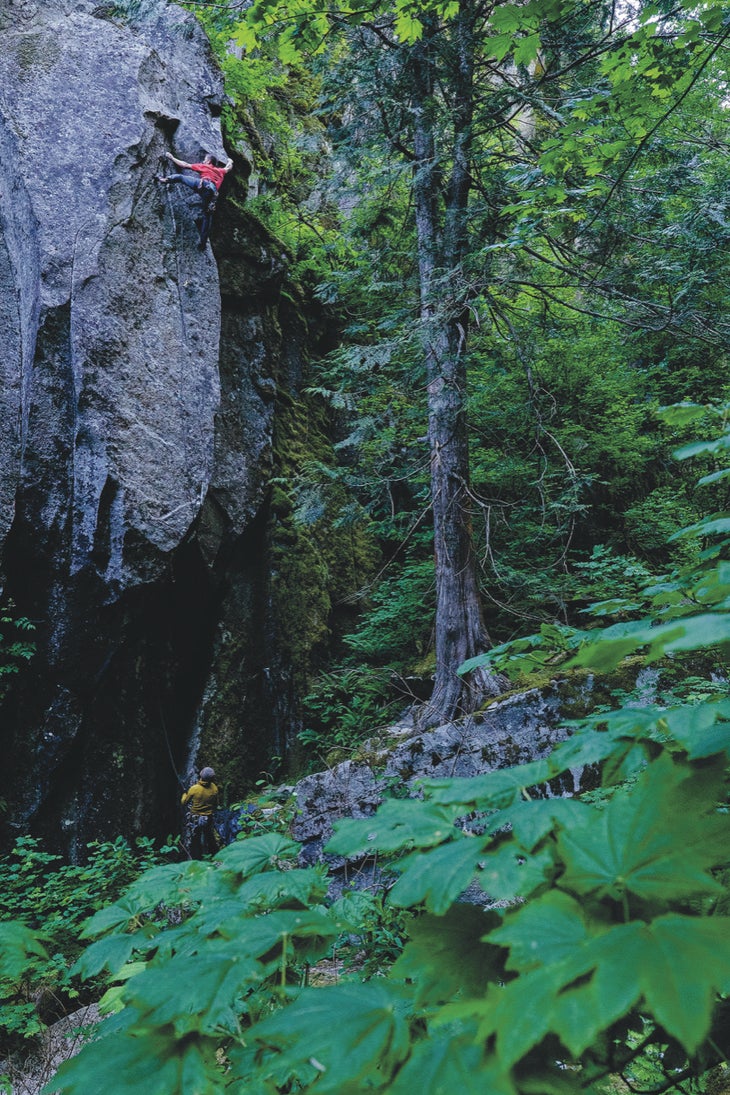 A climber doing a fantastic looking granite 5.12 in a forested setting.