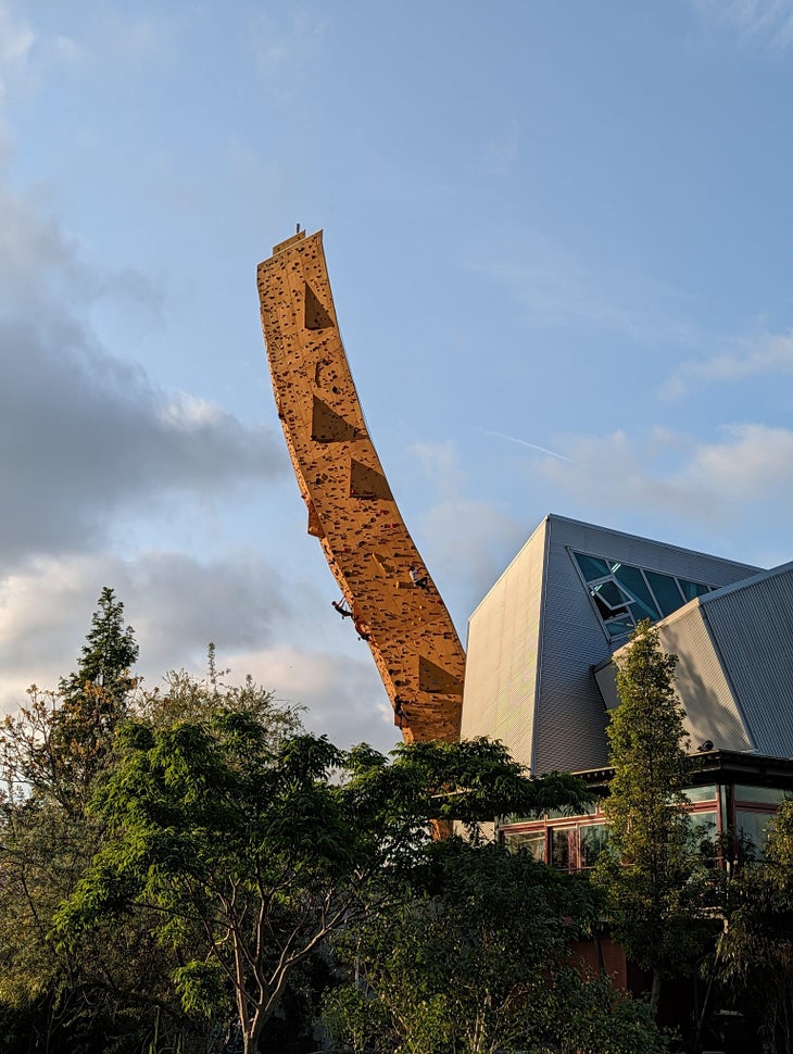 A gigantic, free-standing climbing wall, roughly the shape of a canine tooth.