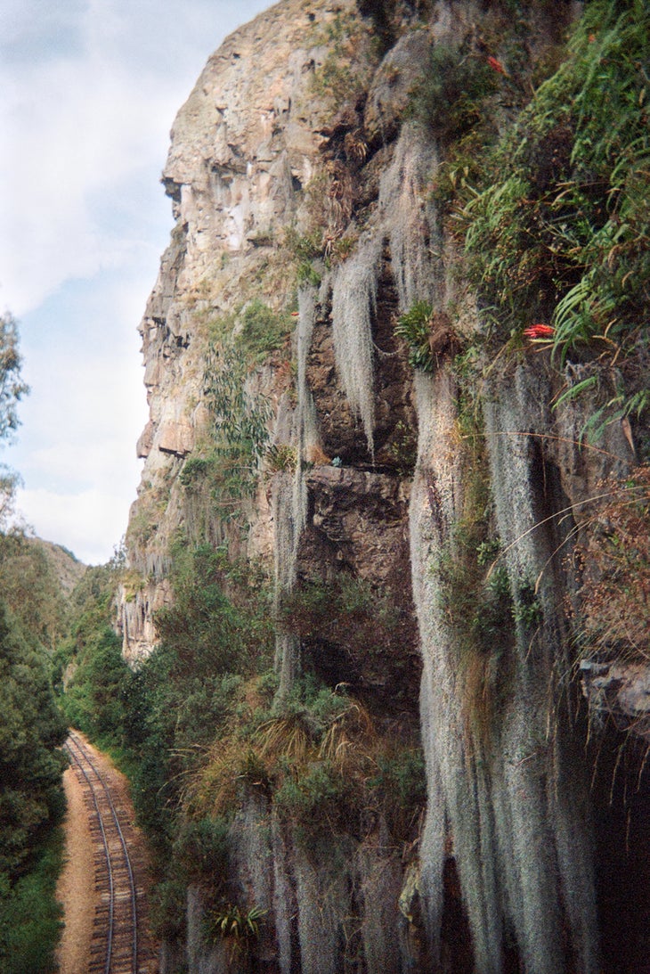 A vertical, vegetated rock face in Colombia.