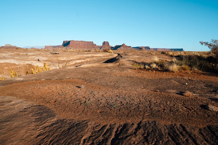 An image of soil crust in the White Rim