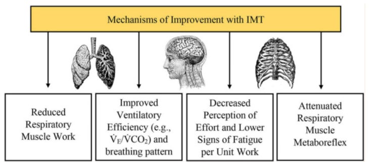 Illustration shows how an increase of oxygen to the brain can improve human sport peformance. This training of respiratory muscles is for climbing performance.