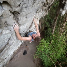 A male rock climber sport climbing with tropical trees below