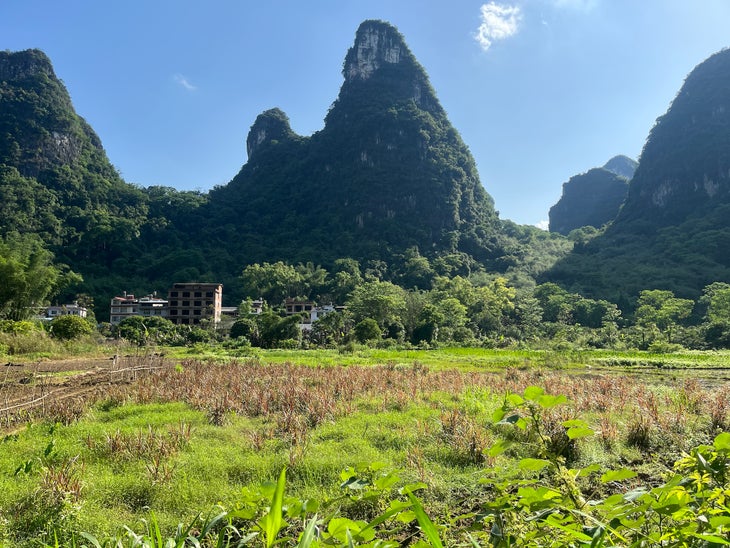 a vegetated hillside