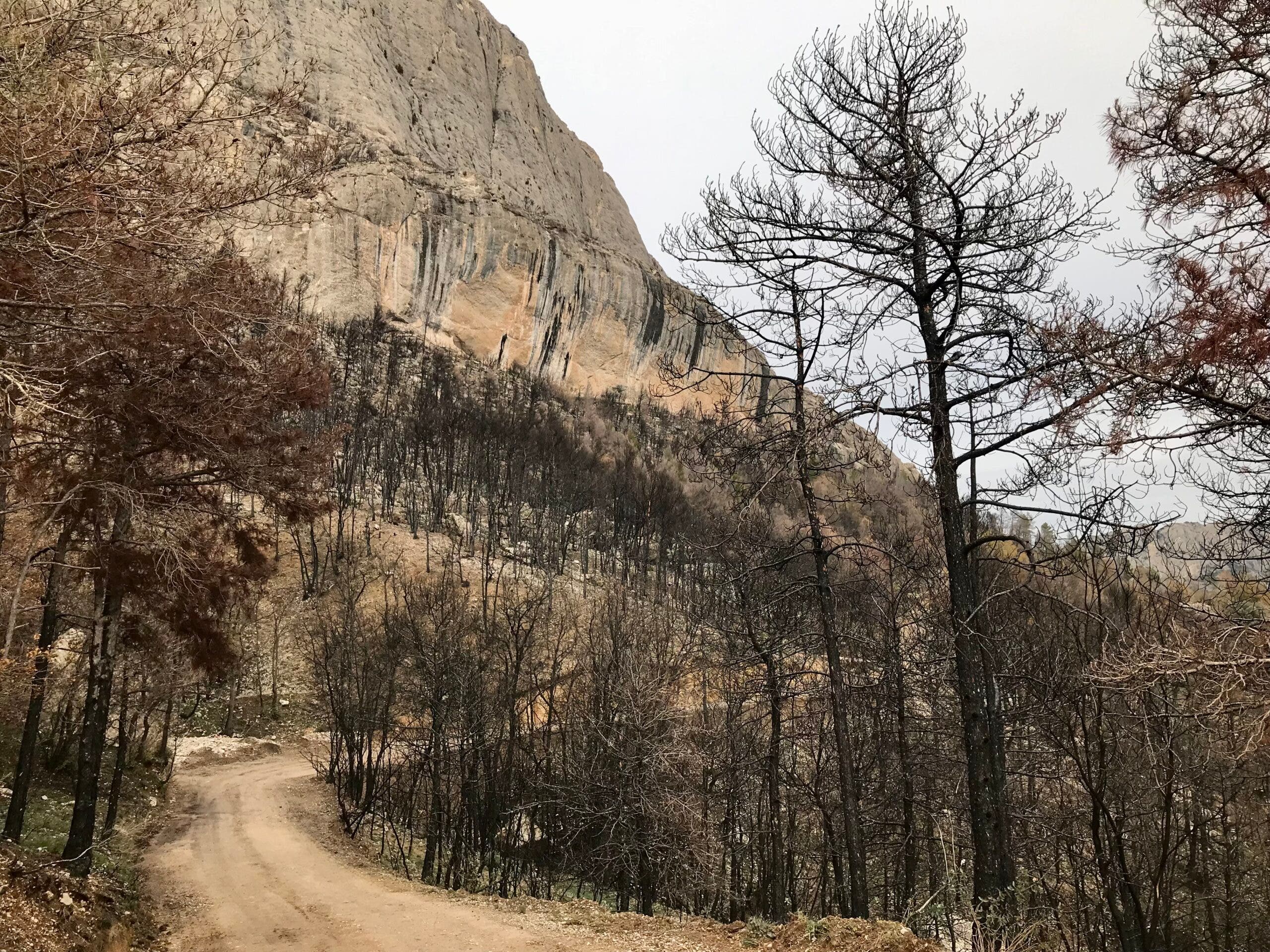 The Oliana cliffline after the wildfire. 