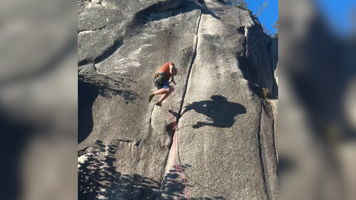 Weekend Whipper: An Expert Catch Saves This Climber from Serious Injury