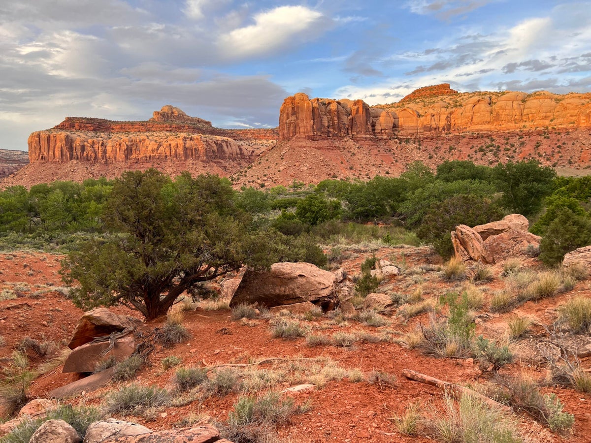 Indian Creek’s Biggest Route Developer Just Got Banned for Camping for Too Long