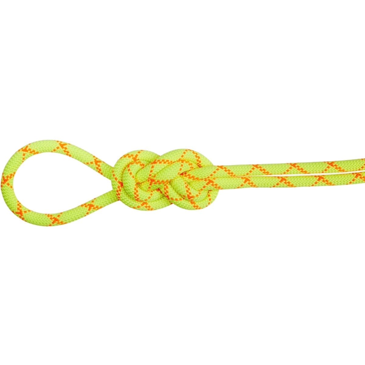 Mammut's Alpine Core Protect rope.