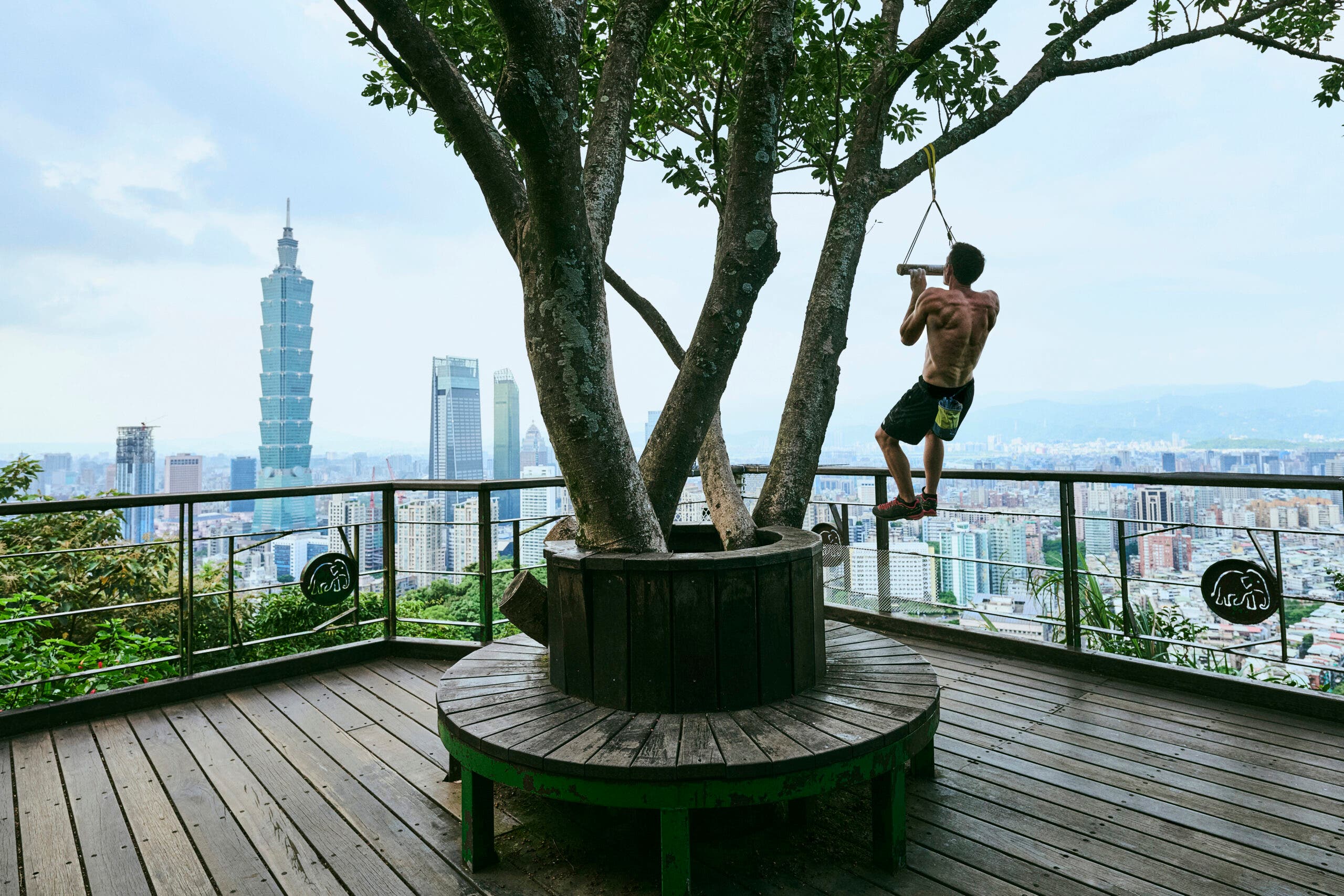 alex honnold hangboarding