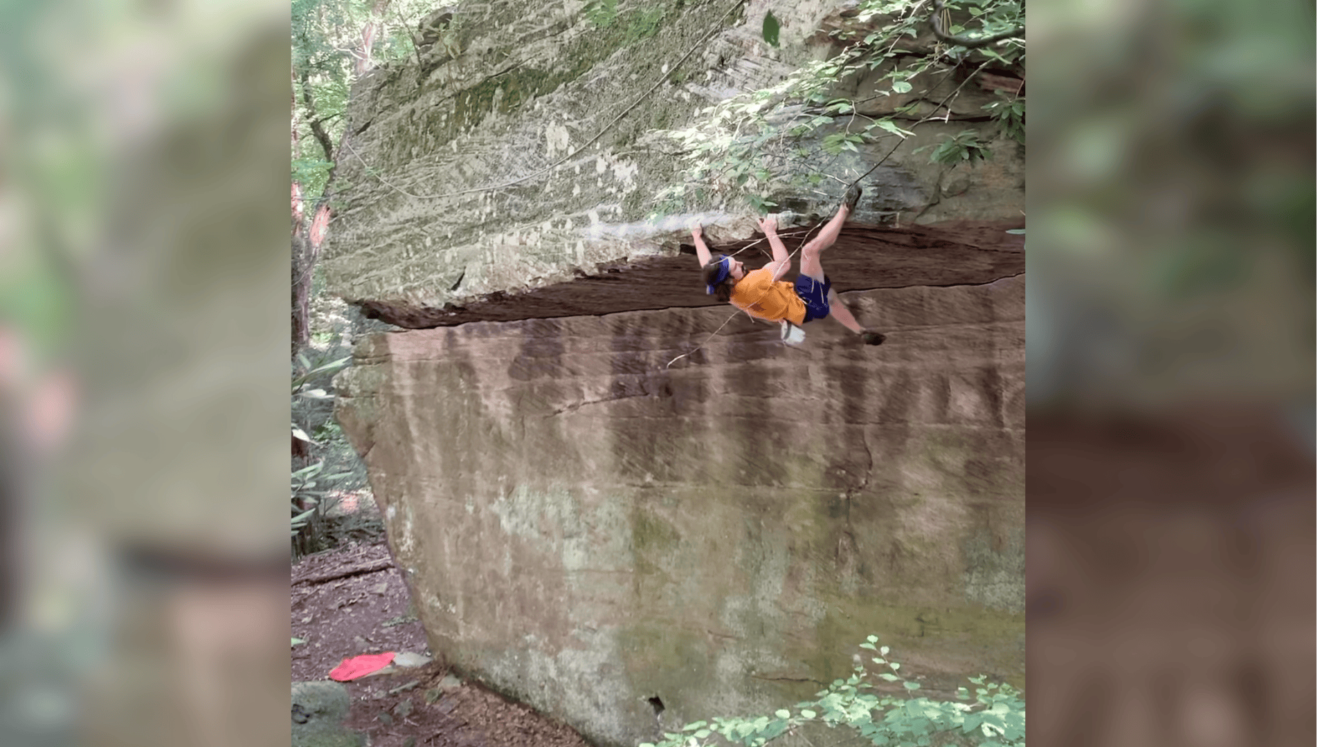 ぴ*ん様 LeSportsat Franklin Climbing ボストン Climber Overcomes Snakebite to Send Bold 5.13 - Climbing