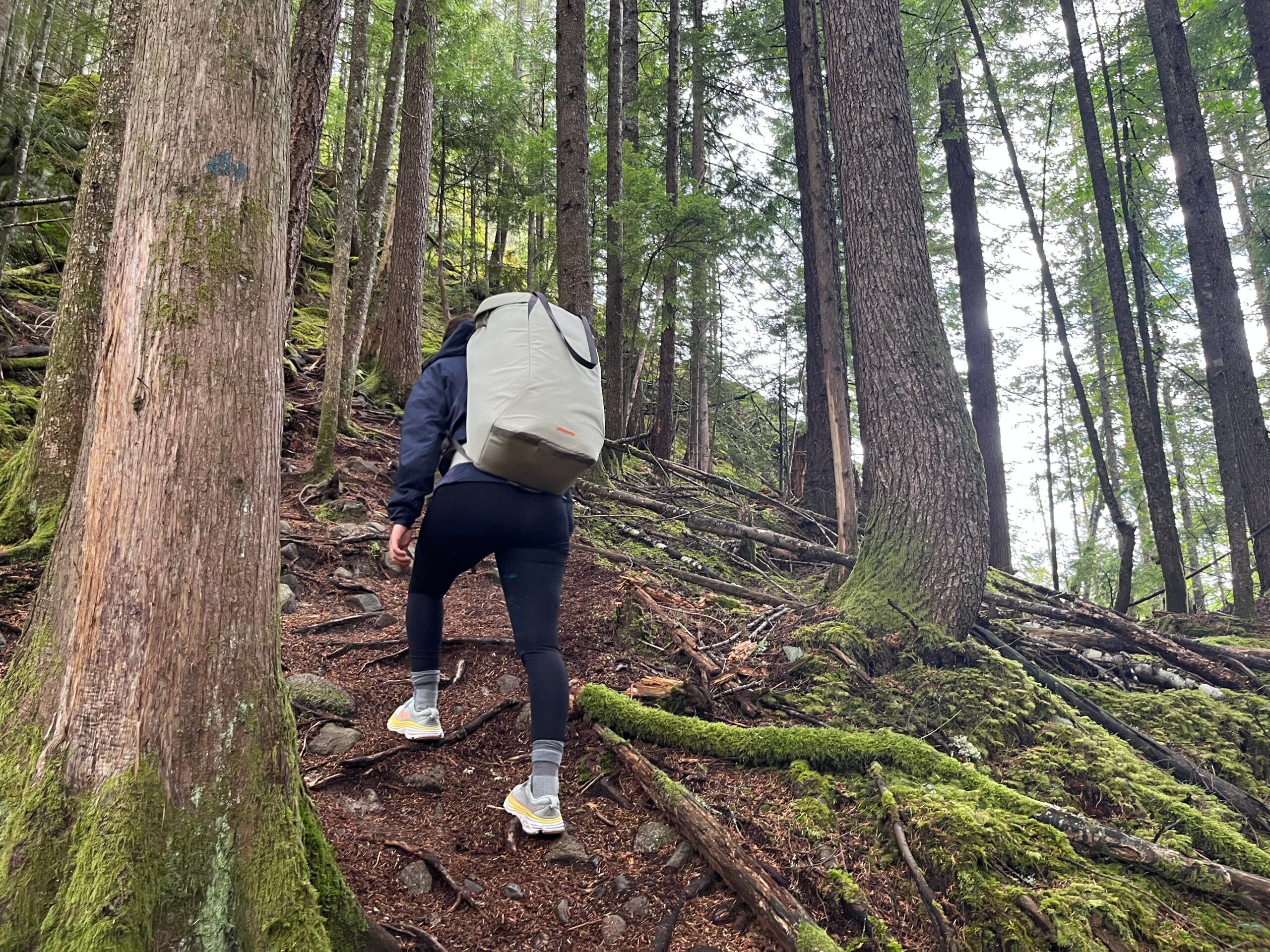best internal frame backpack for hiking in the woods Tough Traveler | Made USA Great for scouting expeditions and family hikes Amazon.com : Pack Frames for