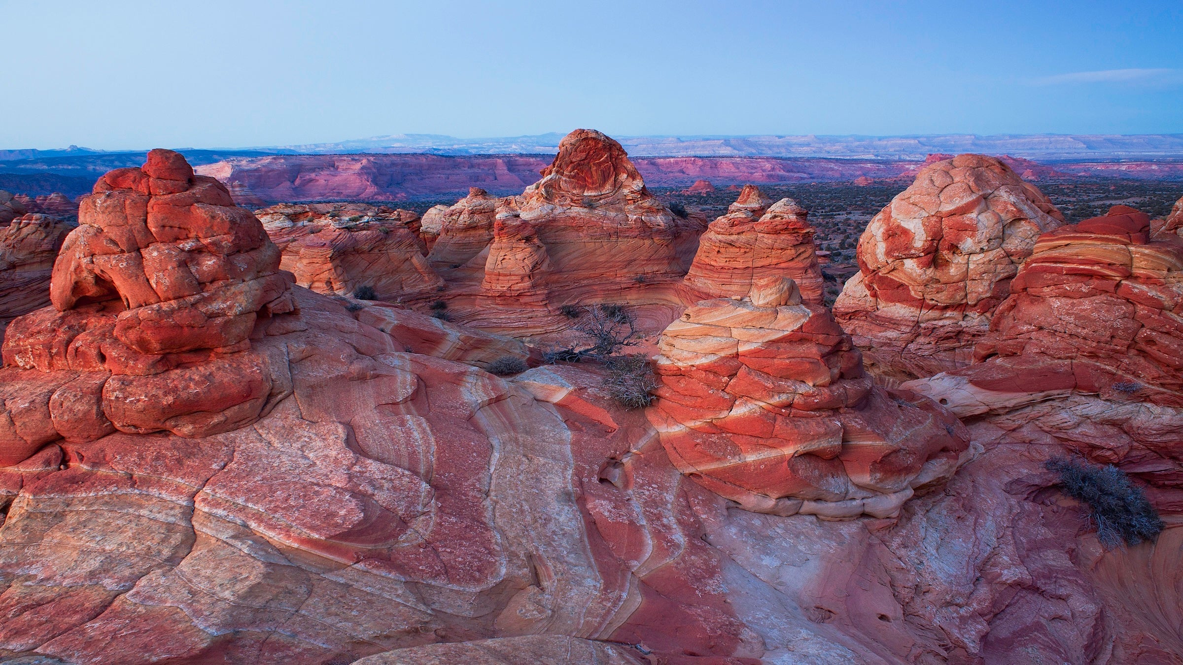 “Our Tribes were not informed of or asked about this decision, and that's unacceptable. The federal government must honor its Trust and Treaty obligations to our Tribes—it is not optional,” said Autumn Gillard, a member of the Southern Paiute tribe and the coordinator of the Grand Staircase-Escalante Inter-Tribal Coalition.