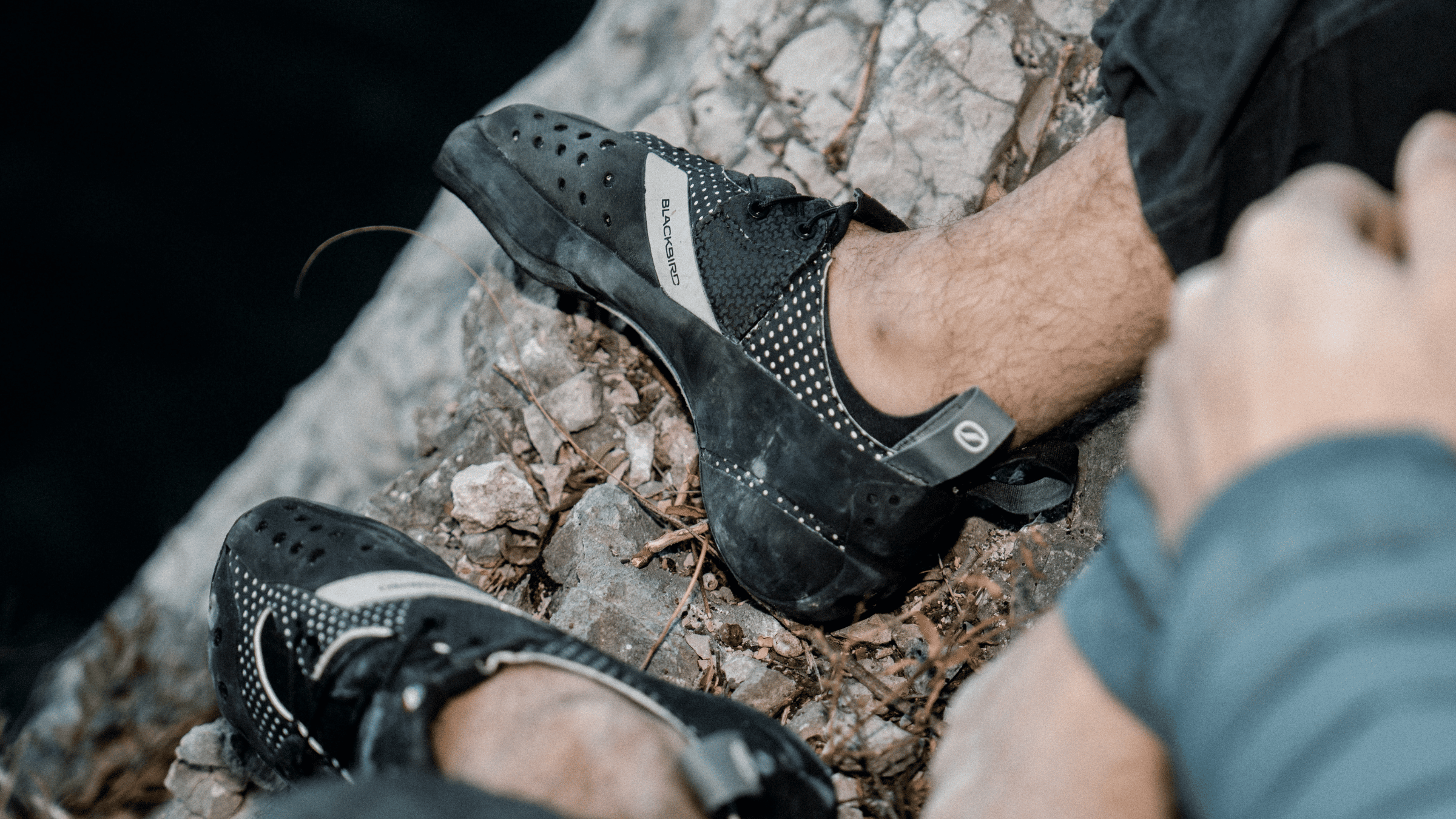 Scarpa Blackbird Review: The Best Climbing Shoe for Edging